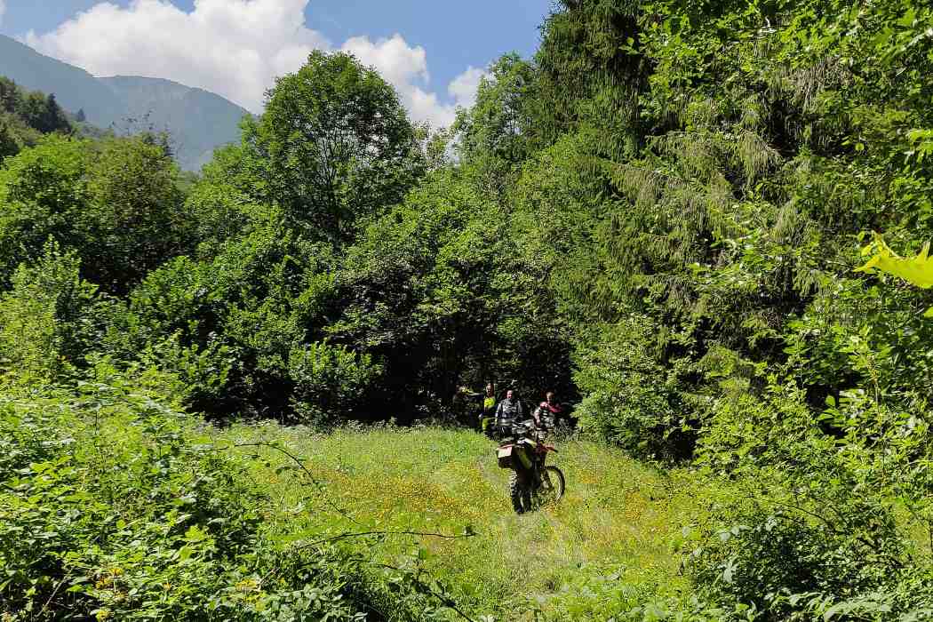 buscando el rumbo en el medio del bosque en los alpes italianos