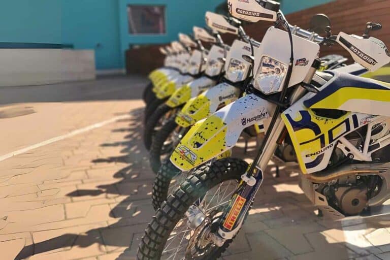 Nuevos partners 2026