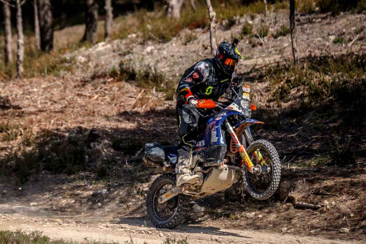 Nuevos cursos One-to-One Trail